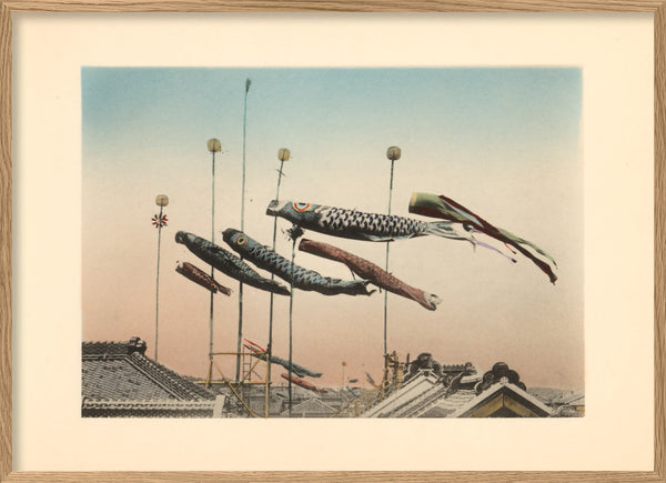 Koinobori Flags at Kodomo no hi