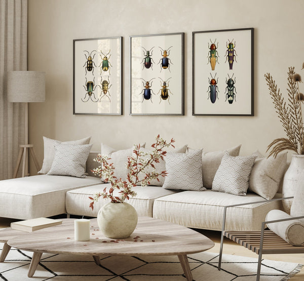 Coleoptera VII detail