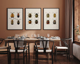 Coleoptera III detail