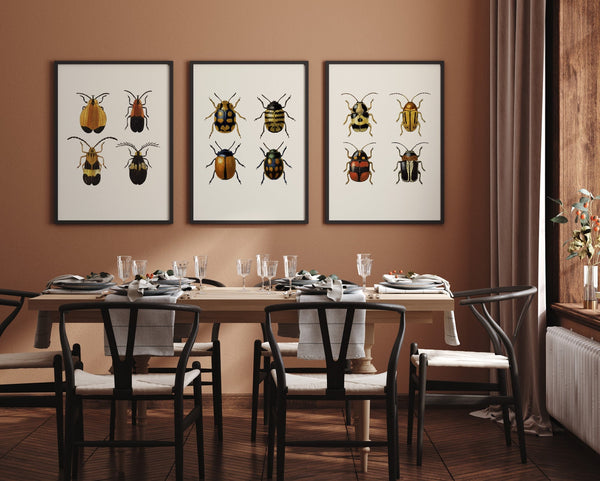 Coleoptera III detail