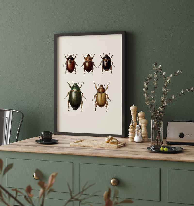 Coleoptera VI detail