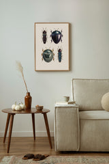 Coleoptera VIII detail