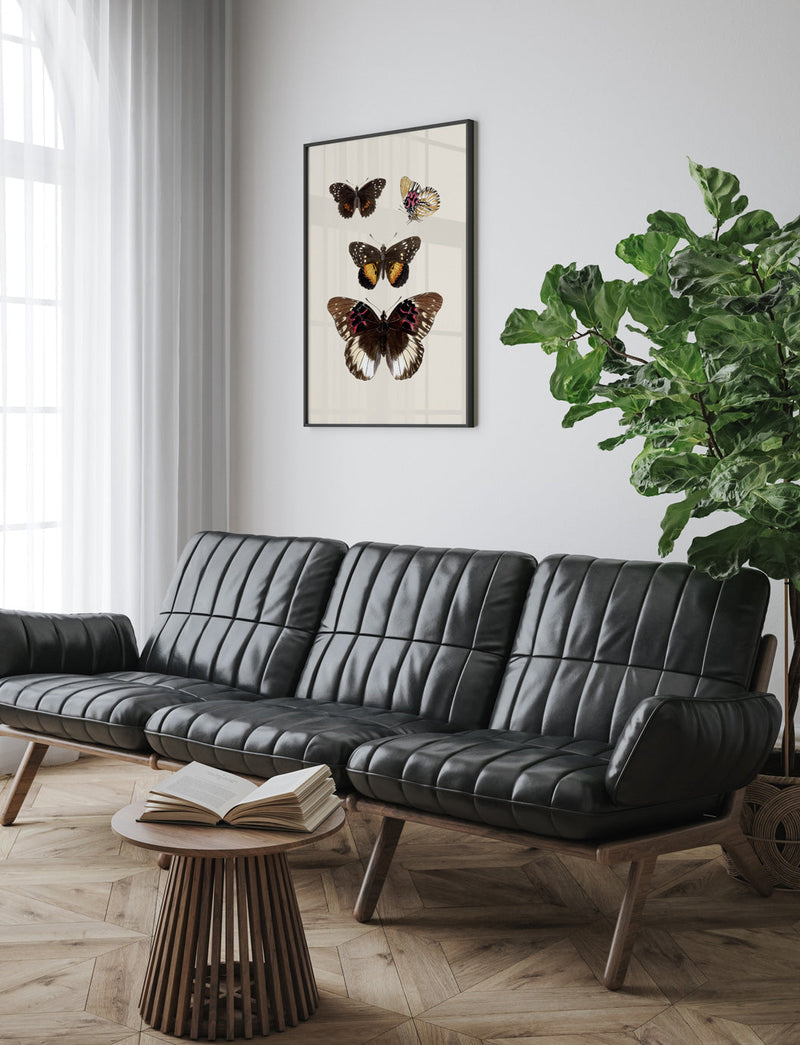 Rhopalocera II detail