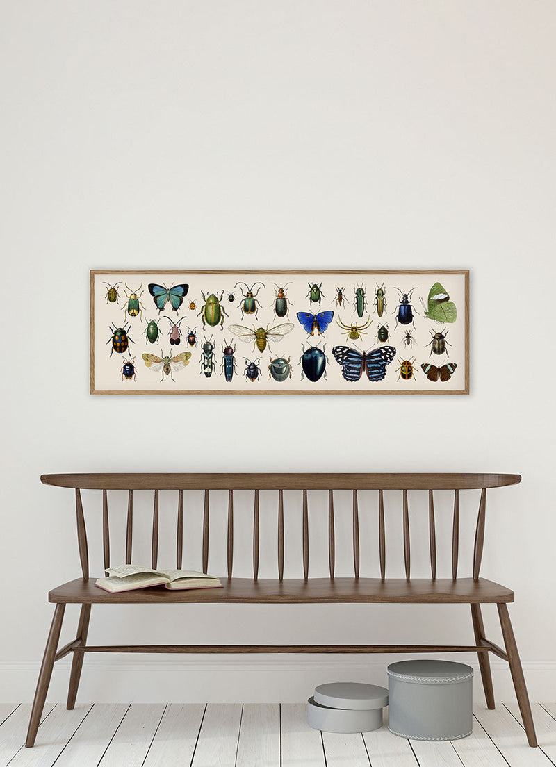 Butterflies and Beetles