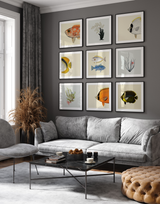 Blotched Bigeye Head