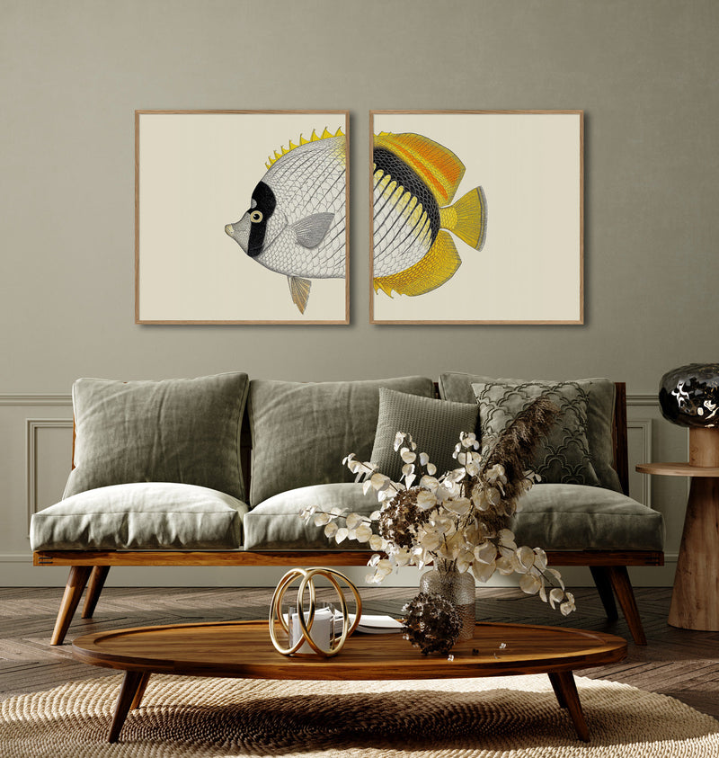 White Yellow Fish Head