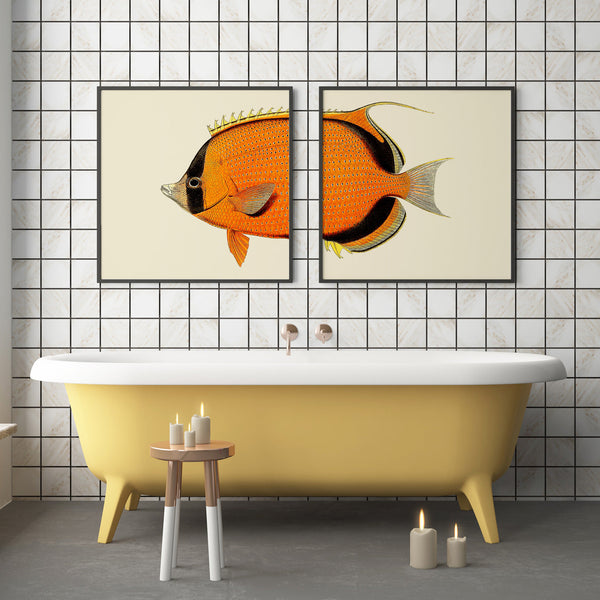 Orange Fish Head