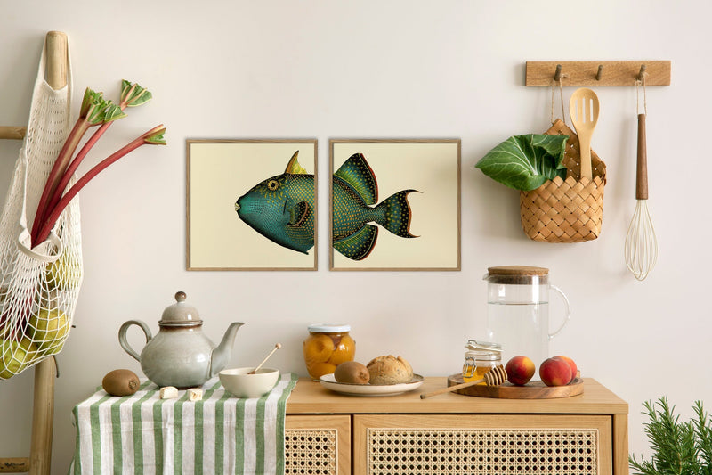 Blue Triggerfish Head