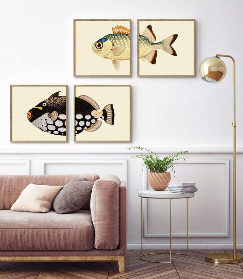 Pinecone Soldierfish Head