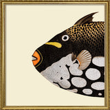 Dot Galore Fish Head