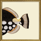 Dot Galore Fish Tail