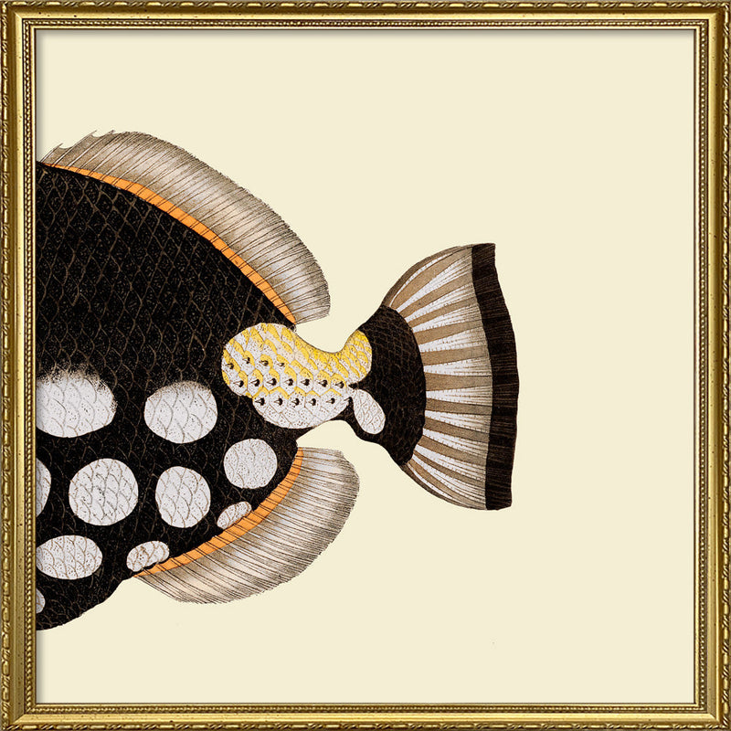 Dot Galore Fish Tail