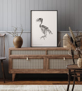 Chrysotis Braziliensis