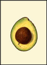 Avocado Open