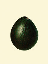 Avocado Closed