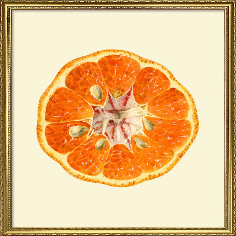 Mandarin Open