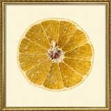 Grapefruit open