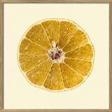 Grapefruit open