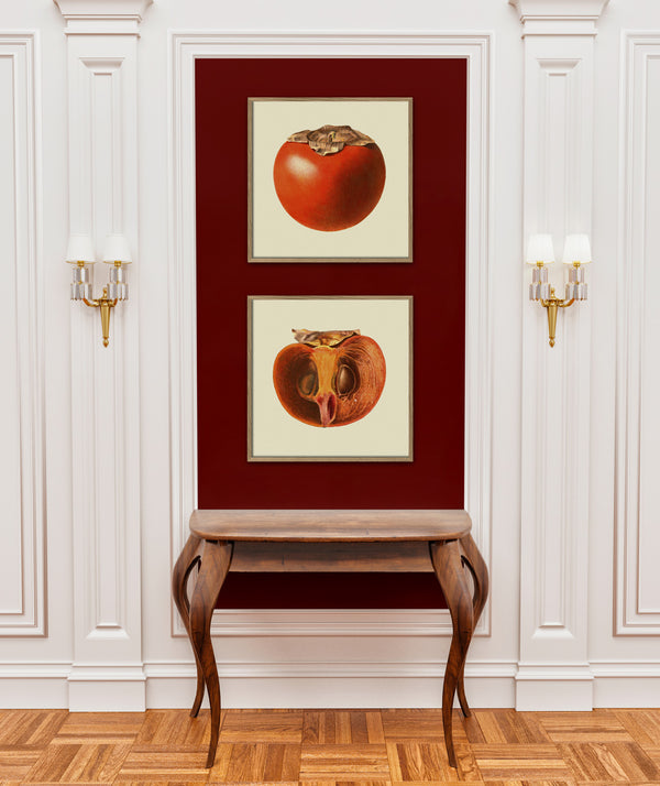 Sharon fruit open