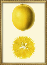 Lemon