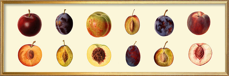 Peach and Plum