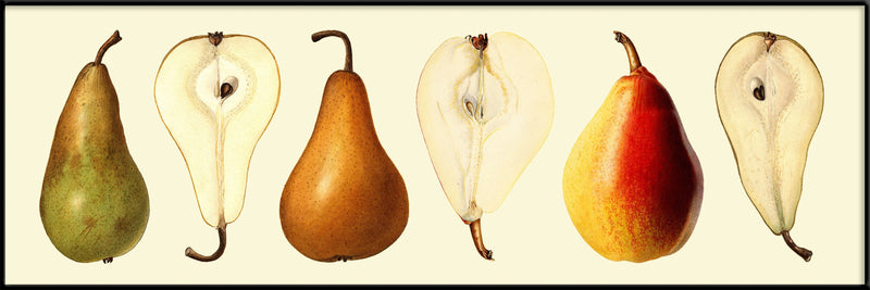 Pear