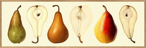 Pear