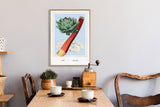 Artichoke and Rhubarb - Outlet