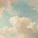 Clouds VIII - Outlet