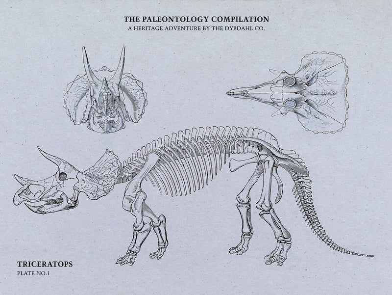 Triceratops Compilation
