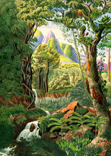 Jungle Scenery - Outlet