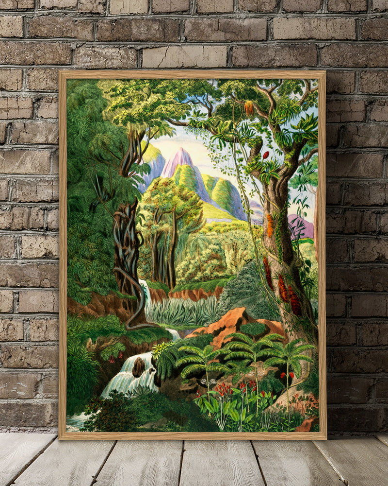 Jungle Scenery