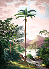 Jungle scenery - Outlet