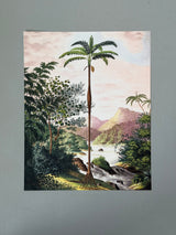 Jungle scenery - Outlet