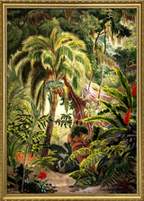 Jungle Scenery