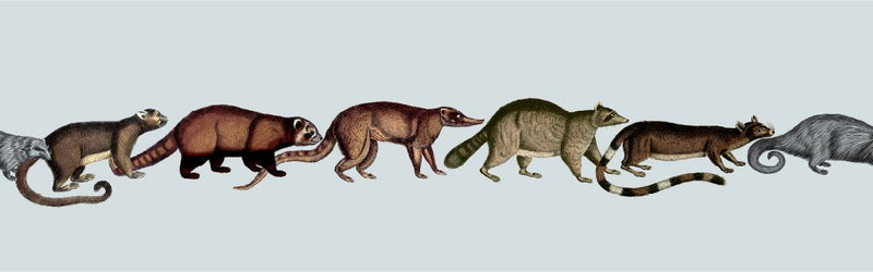 Short Stories - Furry Pursuit Blue