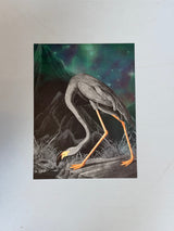 Black Flamingo - outlet