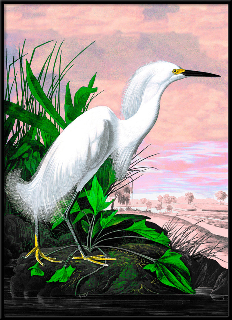 Snowy Heron Remixed