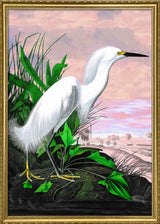 Snowy Heron Remixed