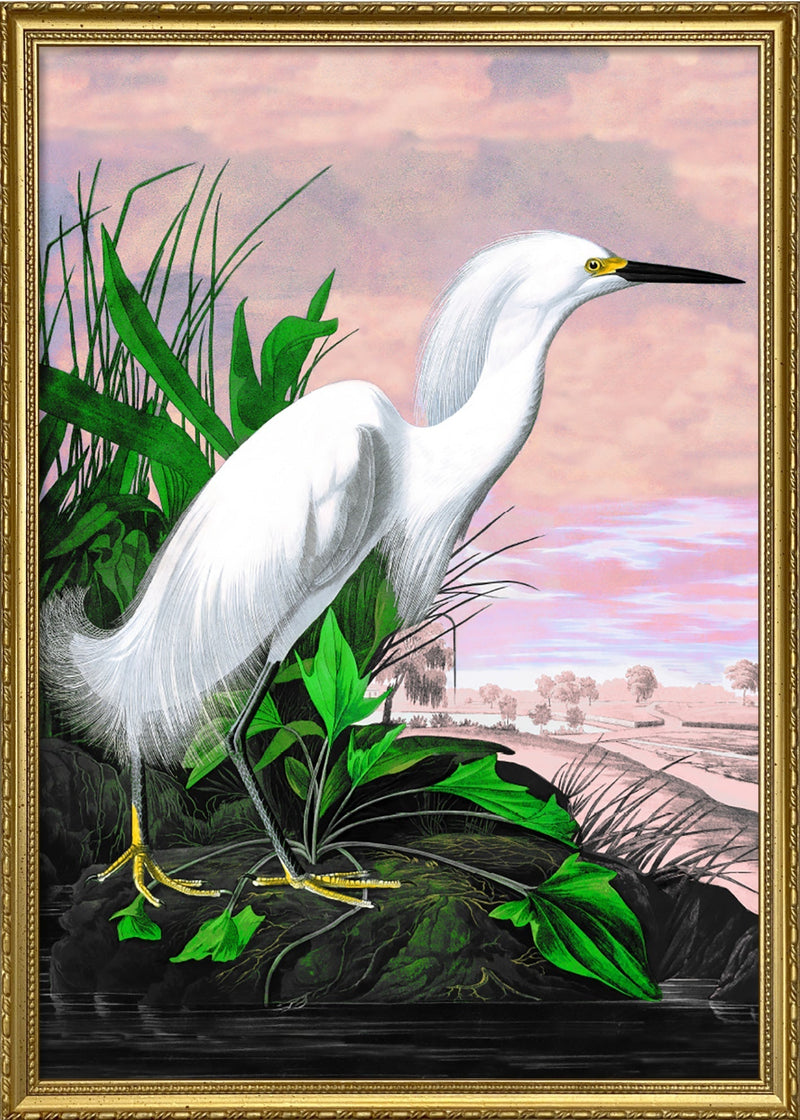 Snowy Heron Remixed