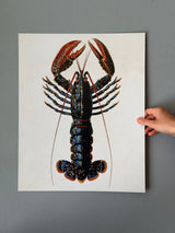 Lobster - outlet