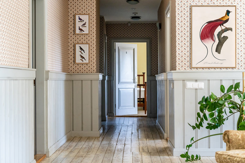 Le Tetras - Le Petit Tetras - La Gélinotte