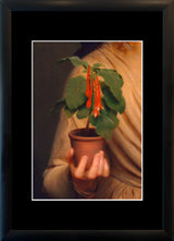 En Vogue Details II.