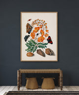 Two Butterflies, Orange Flower & Seashells