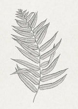 Leaves - Outlet
