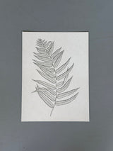 Leaves - Outlet