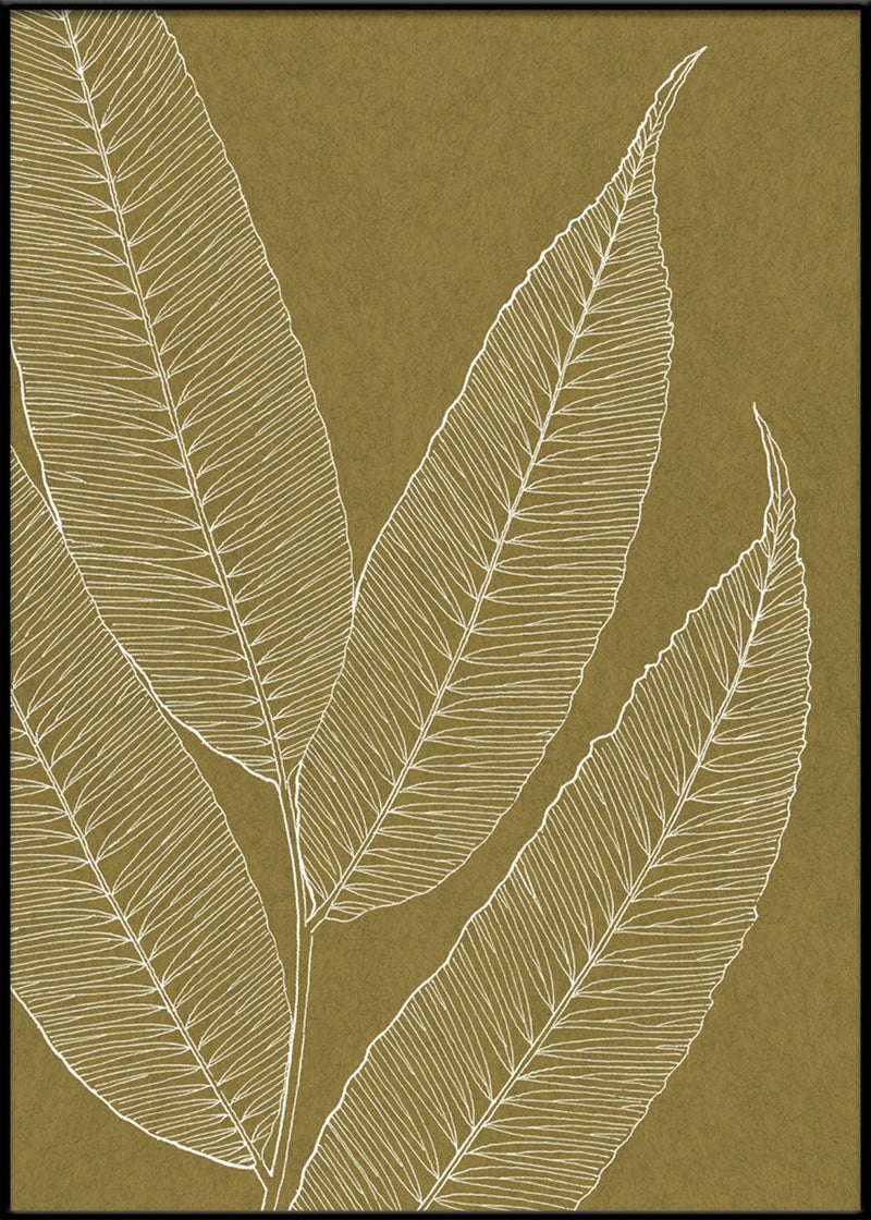 Leaves