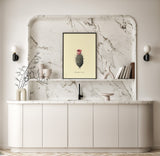 Mammillaria Conoidea