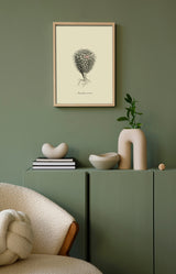 Mammillaria Uncinata