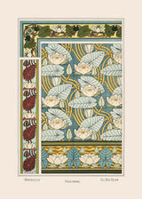 Water Lily - Nenuphar - Die See Rose